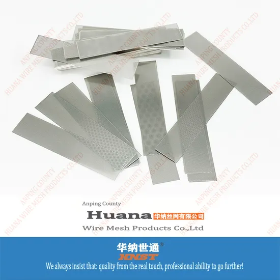 Stainless Steel Dust-Proof Microporous Metal Mesh/Precision Etched Perforated Filter/Audio Speaker Metal Protective Cover Mesh